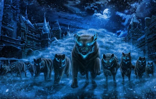 Snow, night, the city, fear, predators, the full moon, invasion, blue flame