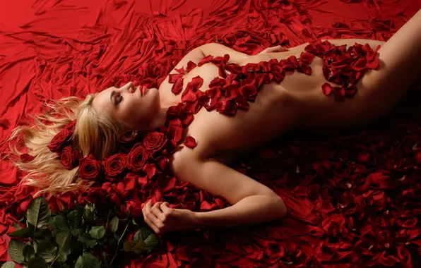 Nude, blonde, petals, roses, Sergey Sorokin