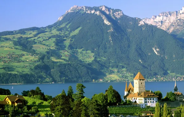 Lake, castle, Switzerland