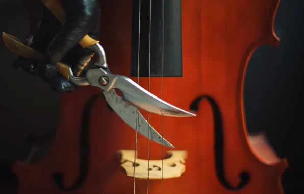 Strings, cello, scissors