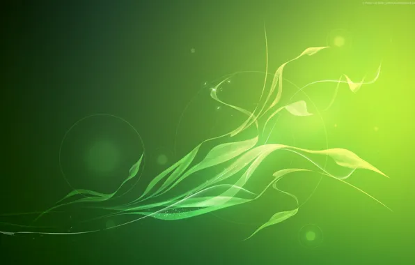 Picture abstraction, tenderness, green background