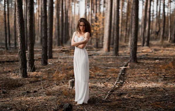 Picture forest, dress, the beauty, bokeh, Anna Seregina