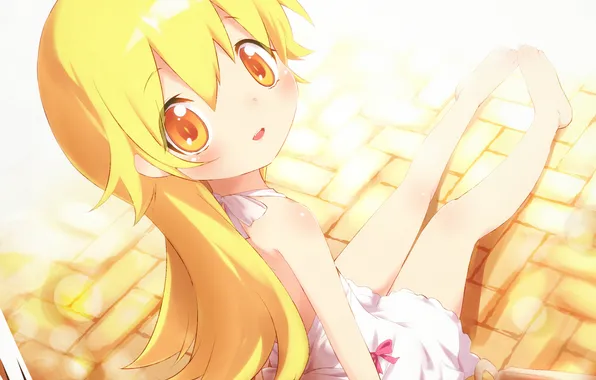 Picture look, joy, girl, donuts, art, bakemonogatari, oshino shinobu, ayakashi