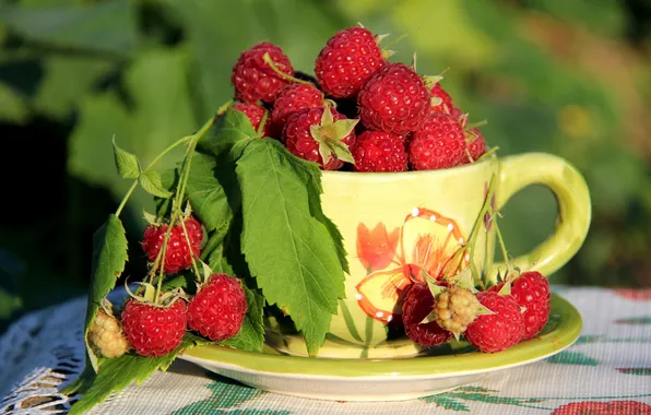 Picture summer, raspberry, berry