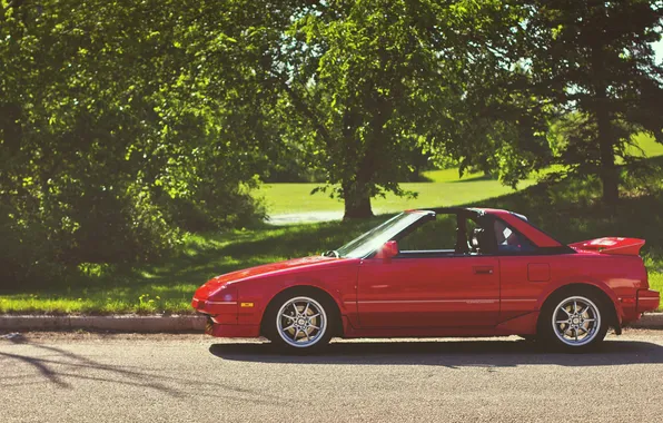 Road, machine, trees, nature, Toyota, mr2