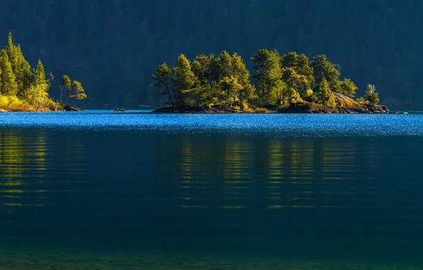 Forest, water, trees, Canada, Canada, island, Cowichan Lake, lake Cowichan