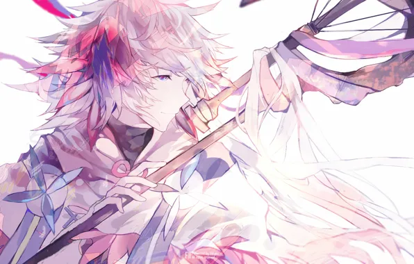 MAG, guy, Merlin, Fate / Grand Order, The destiny of a great campaign