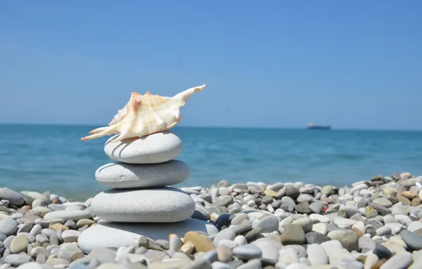 Sea, pebbles, shell