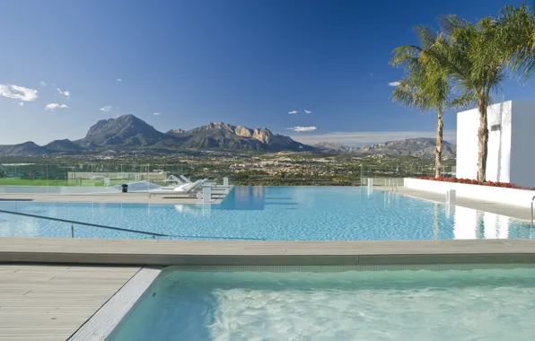 Picture landscape, the city, palm trees, view, pool