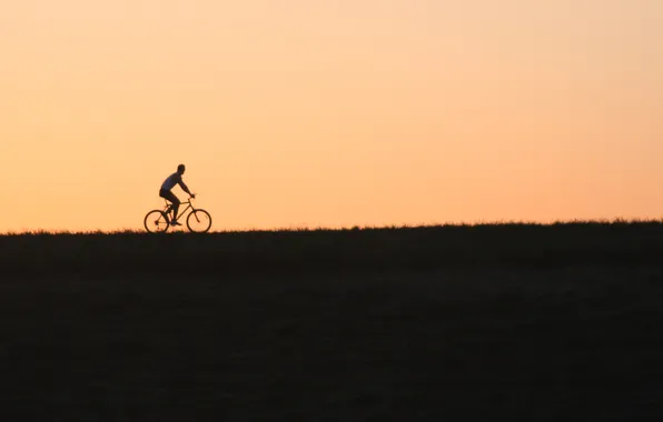 Field, the evening, cyclist, bike, sunset, ride