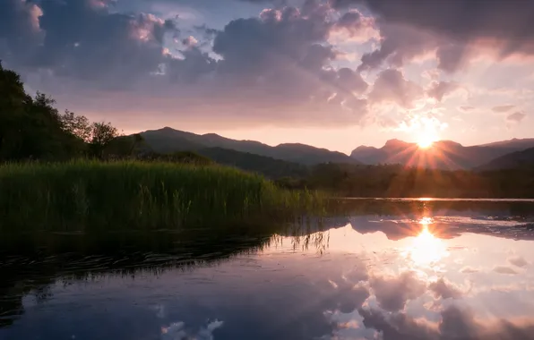 Picture forest, the sun, clouds, sunset, nature, lake, the evening, pond