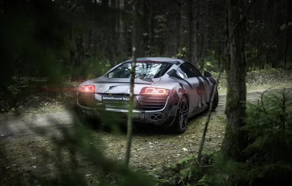 Car, machine, auto, forest, fog, rain, Audi, audi