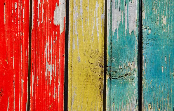 Board, the fence, color