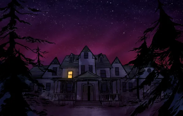 Forest, night, house, art, video game, computer game, Gone Home