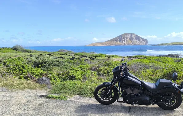 Hawaii, hawaii, harley, Harley-Davidson, oahu