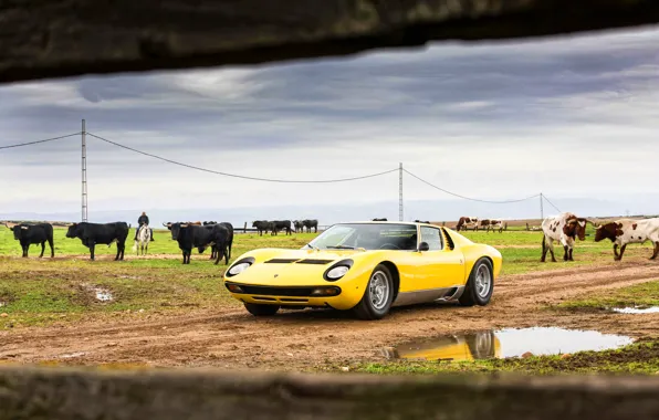 Color, Auto, Lamborghini, Machine, Classic, Bull, 1971, Lights