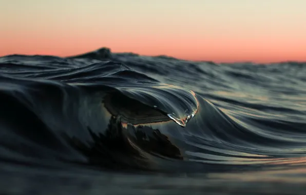 Sea, wave, water, the ocean