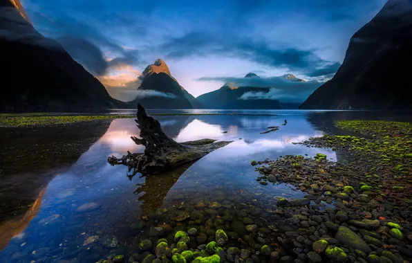 Picture New Zealand, Piopiotahi, South island, the fjord Milford Sound, the Fiordland national Park