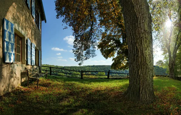 Picture grass, light, trees, bench, nature, tree, mood, home