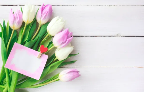 Flowers, bouquet, tulips, love, pink, white, fresh, pink