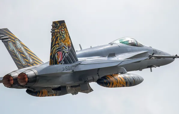 Fighter, The fast and the furious, The rise, The Swiss air force, F/A-18 Hornet, PTB