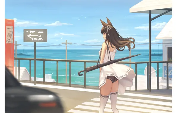 Road, sea, auto, the sky, girl, ears