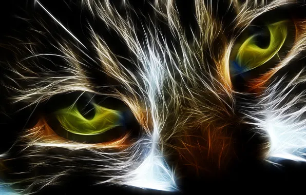 Picture cat, eyes, cat, abstraction