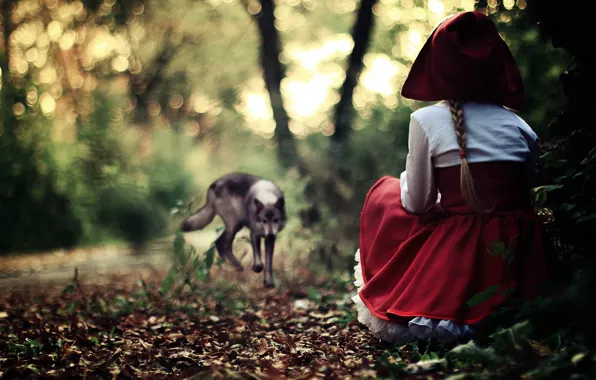 Picture FOREST, RED, GREY, DRESS, GIRL, SUNDRESS, WOLF, CAP