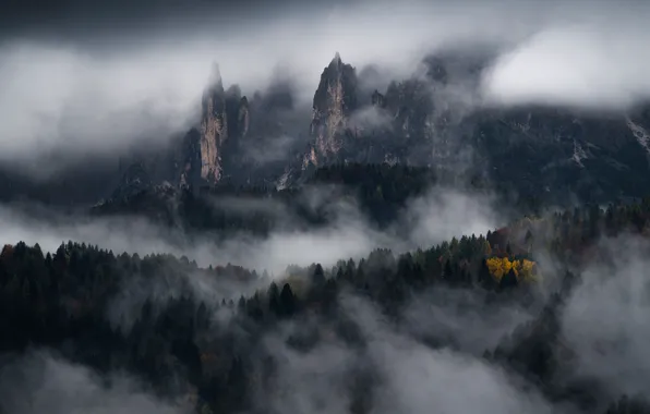 Forest, trees, mountains, nature, fog, rocks, Dolomites, The Dolomites