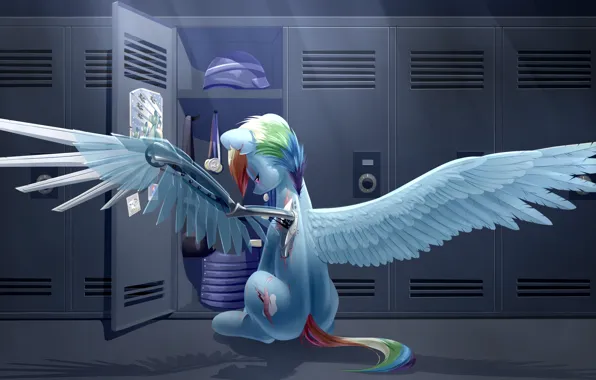 Rainbow dash, 5 season, pony