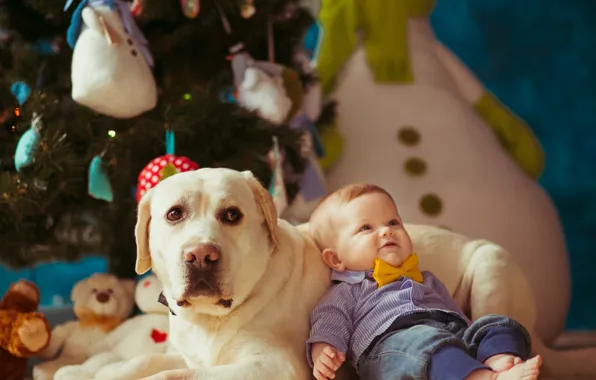 Look, face, pose, room, together, toys, child, dog