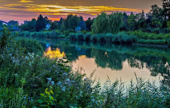 Picture grass, sunset, lake