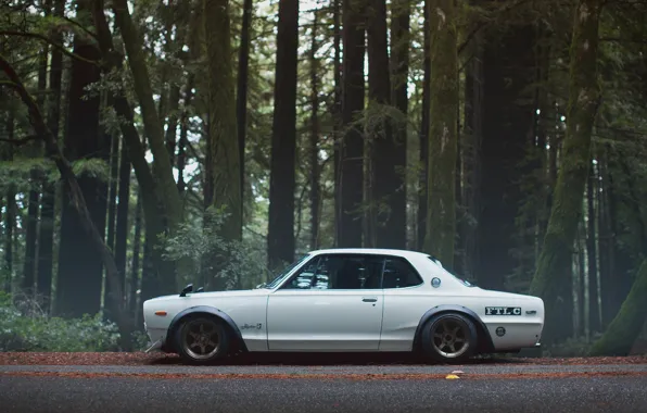 Auto, White, Forest, Machine, Nissan, Nissan, Car, 2000