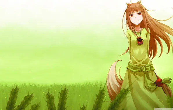 Picture wheat, Anime, Horo, Spice and wolf, Tail, Spice and Wolf, Horo, A friend