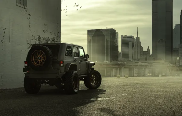 Picture The city, Ass, Jeep, SUV, Nighthawk, Wrangler, Jeep, 2014
