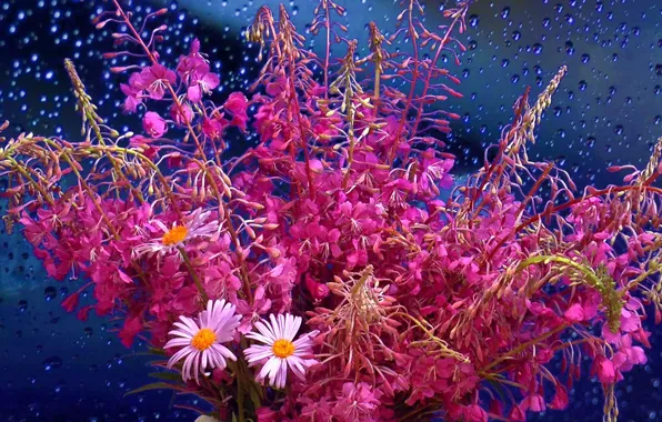 Bouquet, fireweed, the meadow flowers.