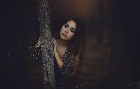 Picture forest, girl, trees, face, trunk