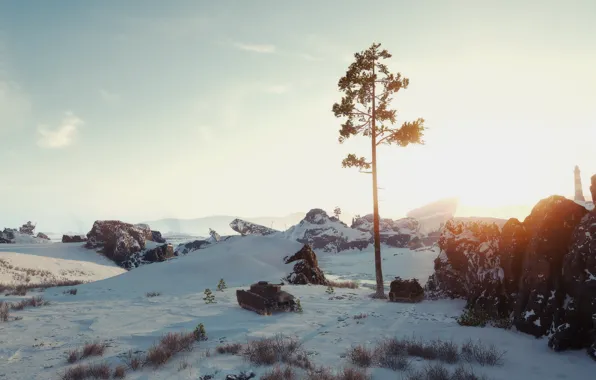 Picture map, calm, World of Tanks