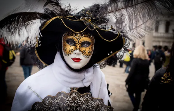 Picture feathers, mask, Venice, outfit, carnival