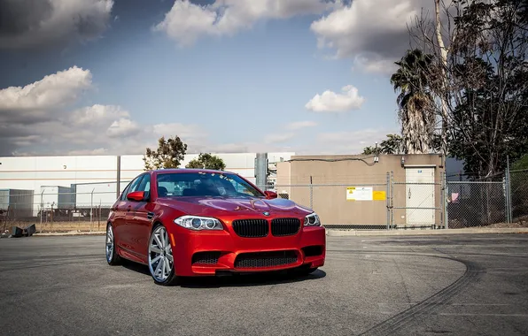 Asphalt, red, bmw, BMW, red, front view, f10, skid marks