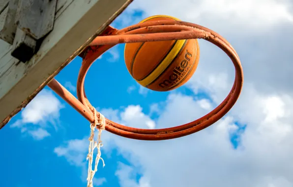 The sky, style, mesh, The ball, ring, basketball