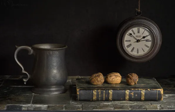 Book, nuts, still life, Chassa