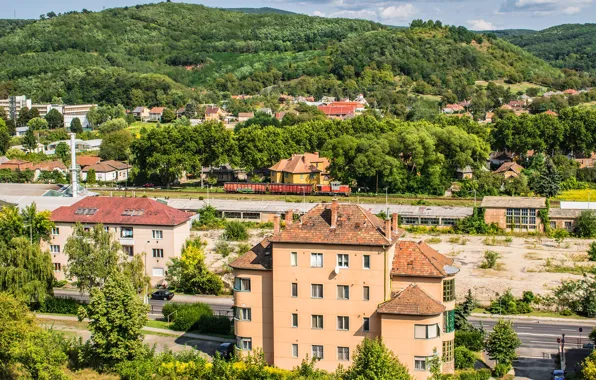Picture greens, forest, the sky, the sun, clouds, trees, mountains, nature