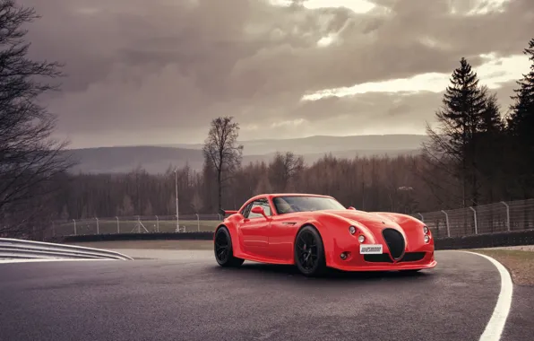 Wiesmann, track, MF4-CS