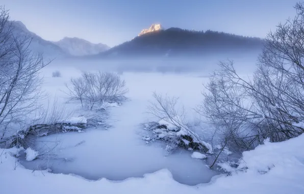 Picture winter, snow, fog