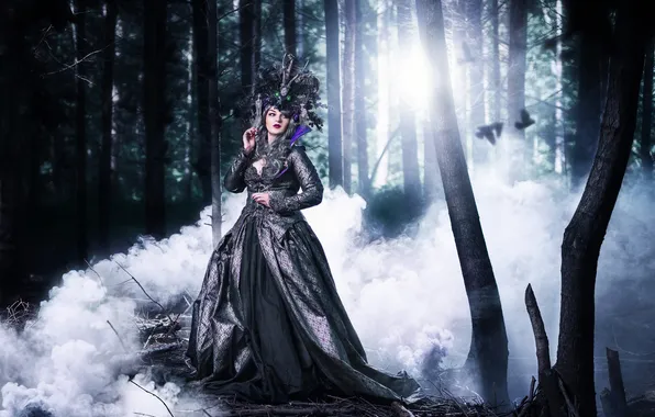 Forest, look, girl, trees, pose, fog, style, smoke