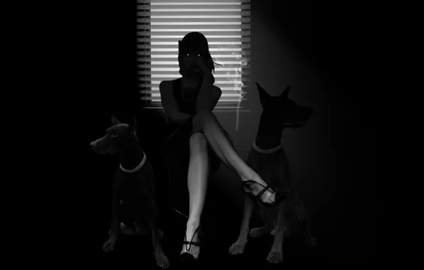 Picture Girl, Look, Window, Eyes, Dogs, Feet, Black and white, Femme fatale