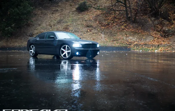 Picture machine, auto, asphalt, wet, lights, Dodge, auto, Black