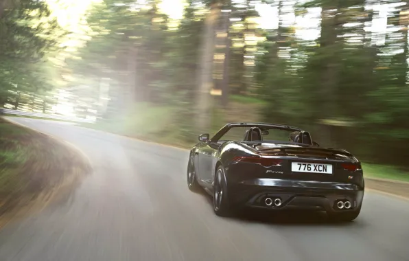 Light, movement, black, Jaguar, convertible, rear view, jaguar, f-type