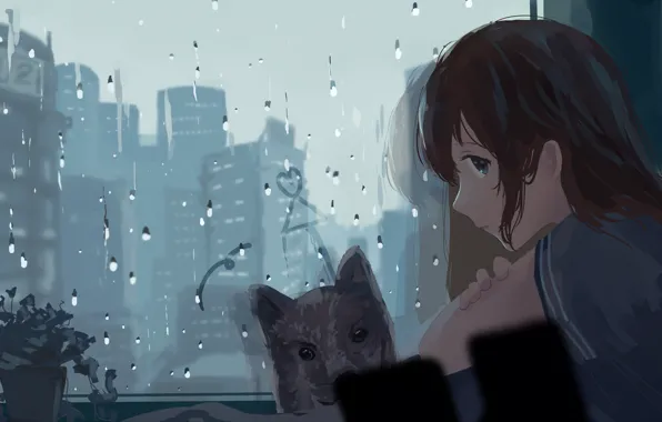 The city, rain, dog, schoolgirl, mfua. RU